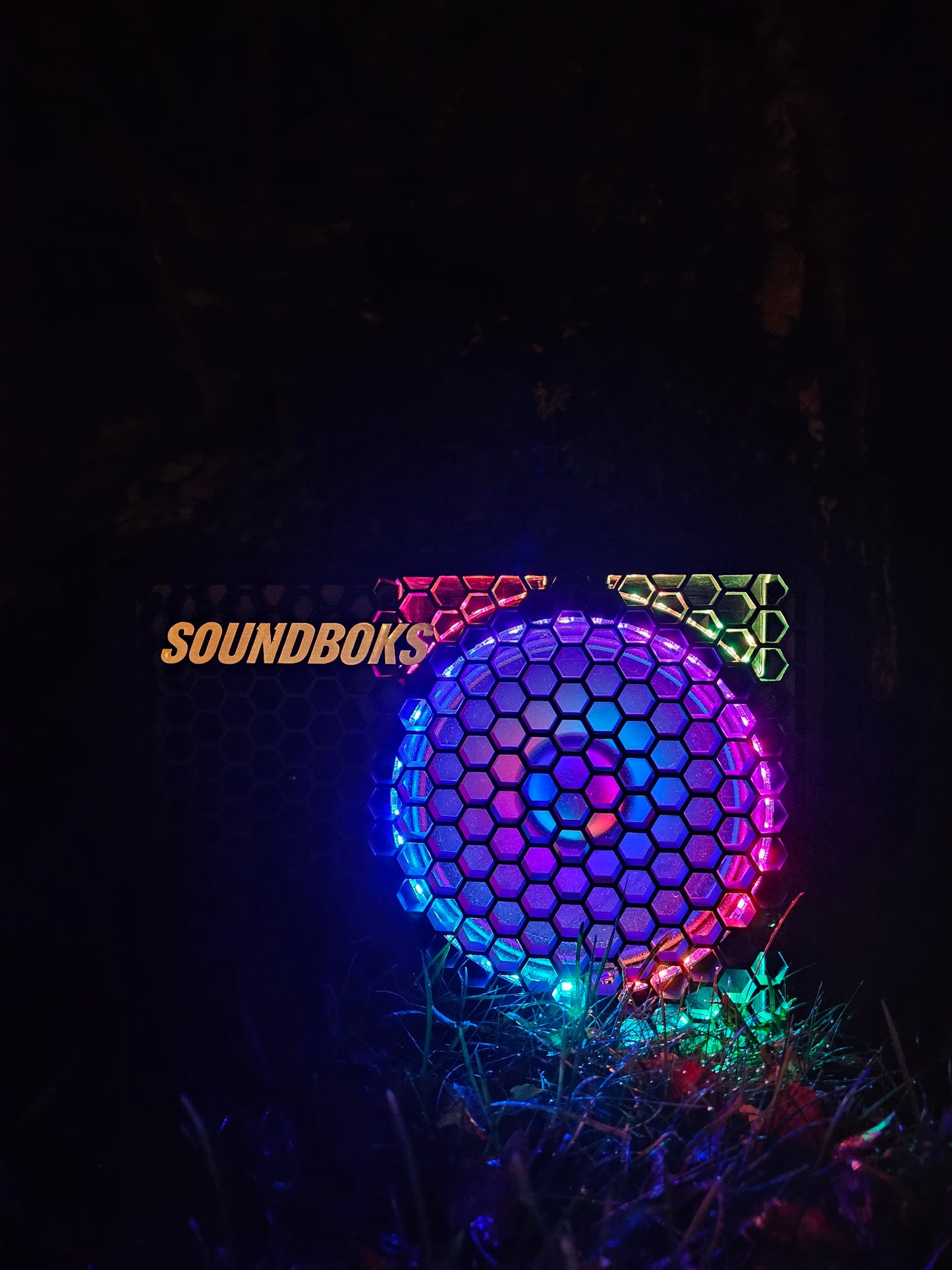 Beginner Light GO