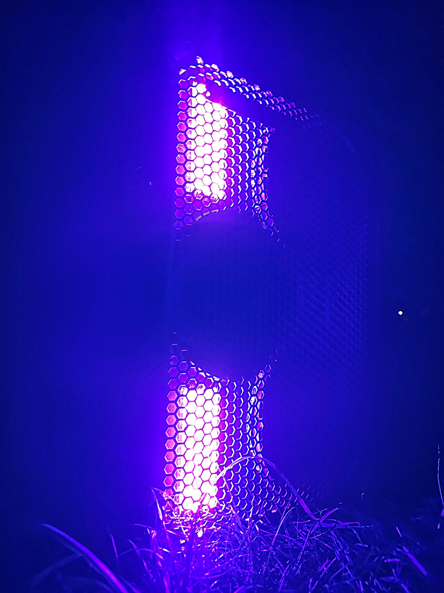 Platinum Deluxe