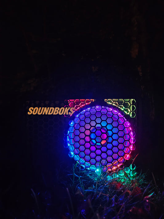 Beginner Light GO